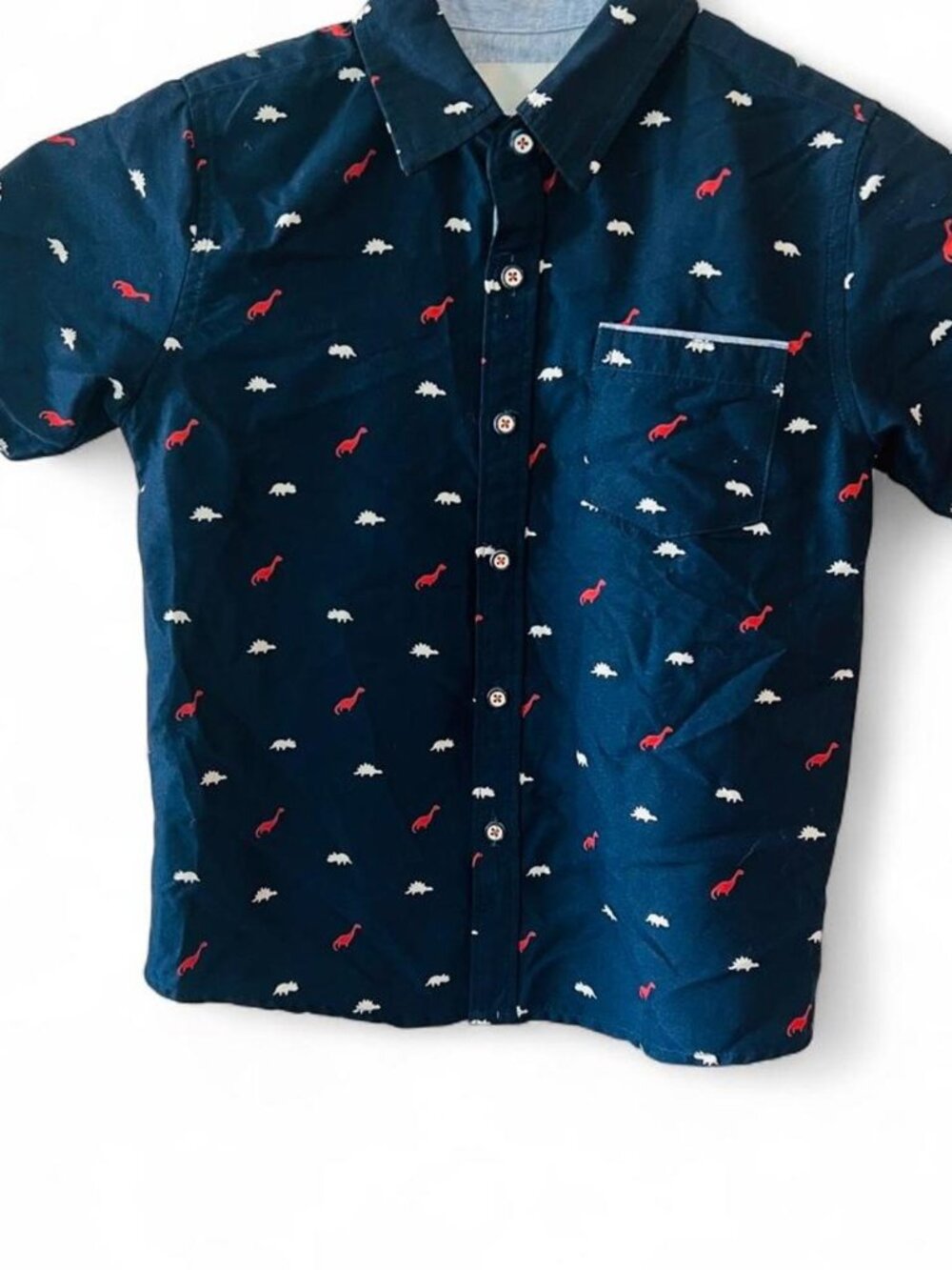 Craft Sportswear Boys' Navy and Blue dino Shirt